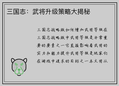 三国志：武将升级策略大揭秘